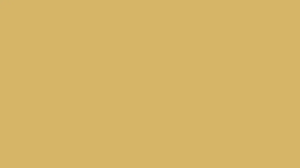 1002 steel door - Acodor India - glazed fire door India
